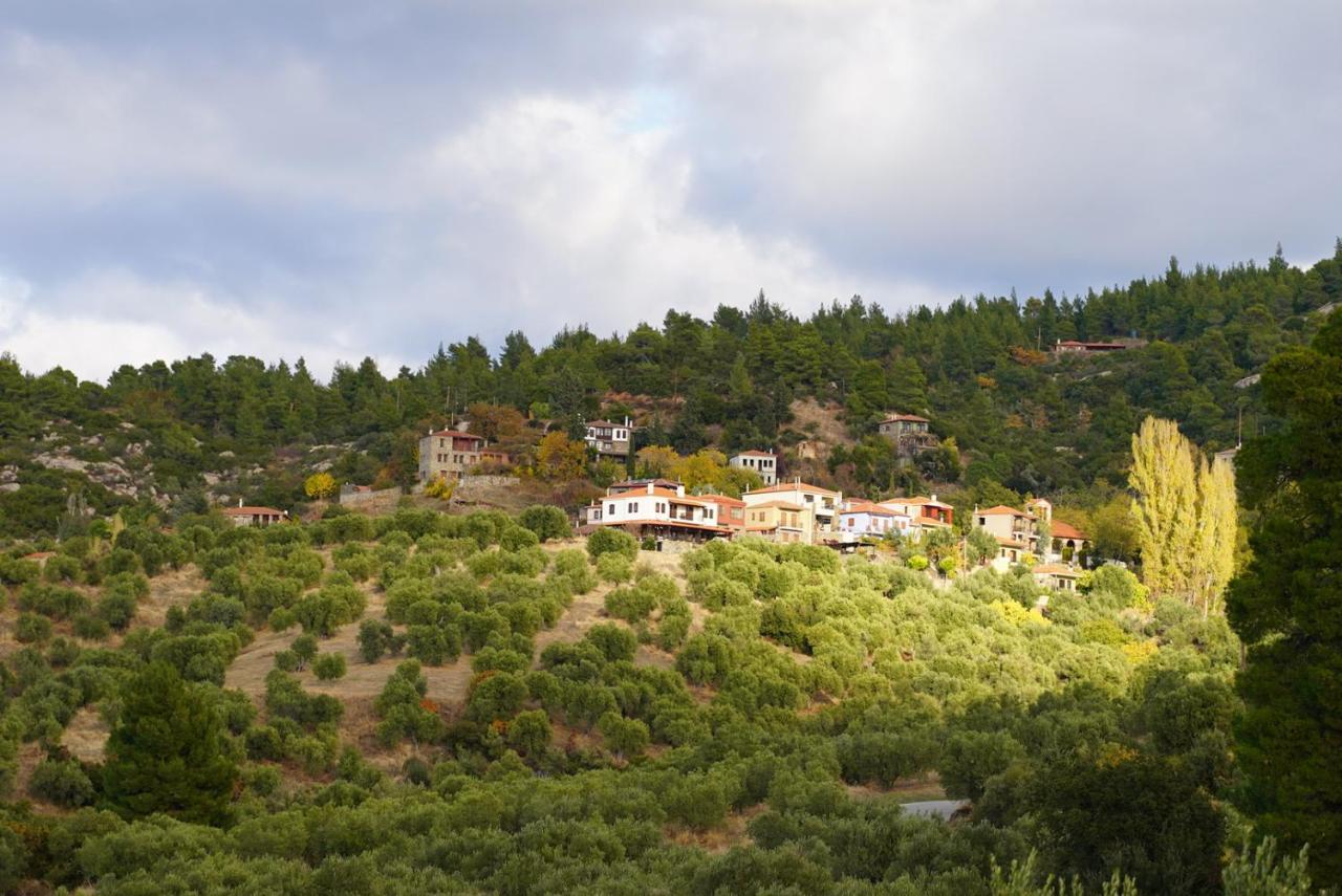 Alterra Vita Eco Villas Neos Marmaras Luaran gambar